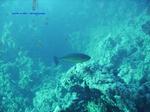 IMG_0104 IMG_0104