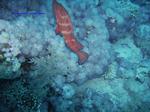 IMG_0106 IMG_0106