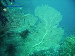 IMG_0109 IMG_0109