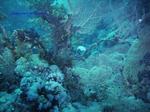 IMG_0110 IMG_0110