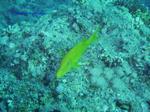 IMG_0111 IMG_0111