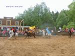 S5001563 S5001563