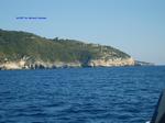 S5002446 S5002446