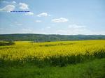 S5002623 S5002623