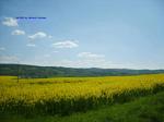 S5002625 S5002625