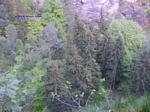 S5002649 S5002649