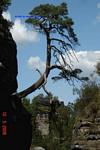 Bild-039 Bild-039