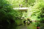 Bild-049 Bild-049