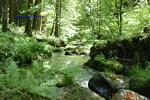 Bild-053 Bild-053