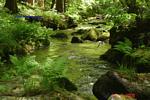 Bild-054 Bild-054