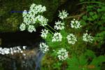 Bild-057 Bild-057
