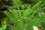 Bild-059 Bild-059