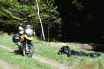 Bild-062 Bild-062