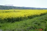 Bild-001 Bild-001