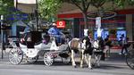 DSC_0203 DSC_0203