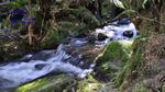 DSC_0372 DSC_0372