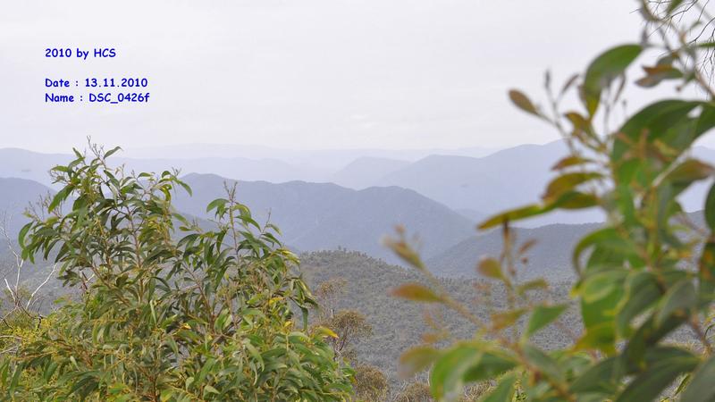 DSC_0426f
