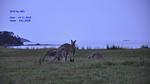 DSC_0528 DSC_0528