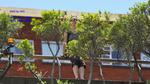 DSC_0569f DSC_0569f