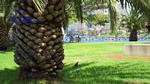 DSC_0576f_0027 DSC_0576f_0027