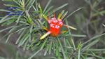 DSC_1024f DSC_1024f