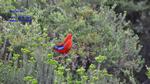 DSC_1101f DSC_1101f