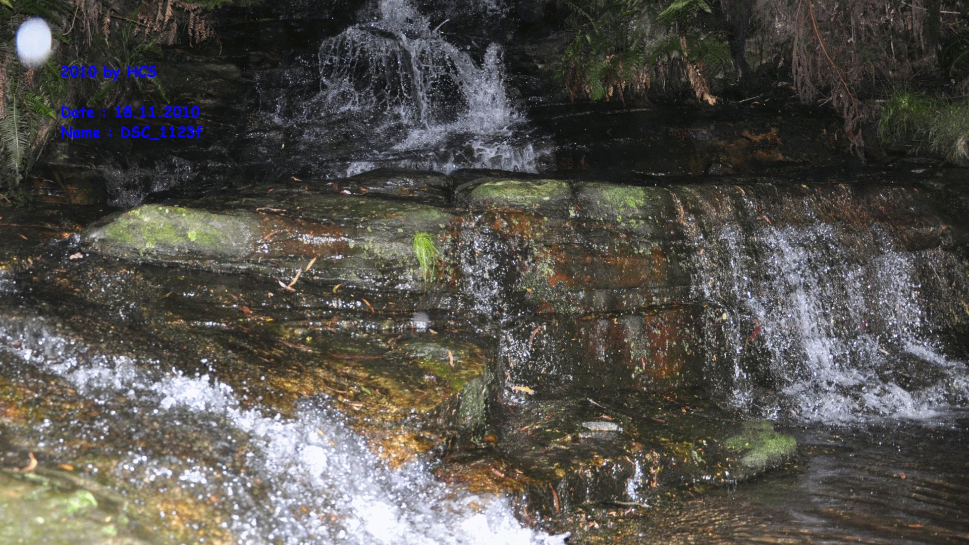 DSC_1123f