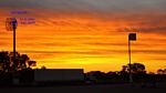 DSC_1317f DSC_1317f