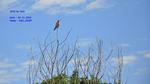 DSC_1323f DSC_1323f