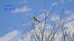 DSC_1327f DSC_1327f