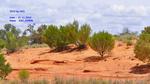DSC_1345fb DSC_1345fb
