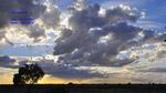 DSC_1418 DSC_1418