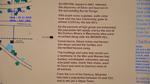 DSC_1462 DSC_1462
