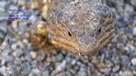 DSC_1522f DSC_1522f