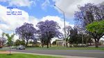 DSC_1623f DSC_1623f