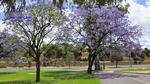 DSC_1644f DSC_1644f