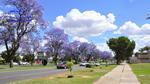 DSC_1661f DSC_1661f