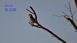 DSC_1702f DSC_1702f