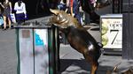 DSC_1782f DSC_1782f