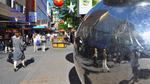 DSC_1787f DSC_1787f