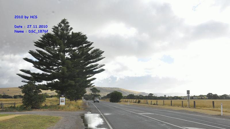 DSC_1876f