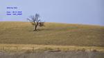 DSC_2000f DSC_2000f