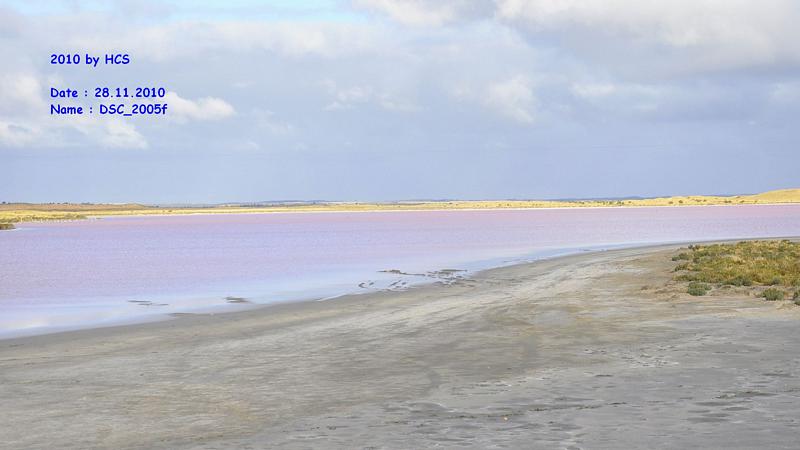 DSC_2005f