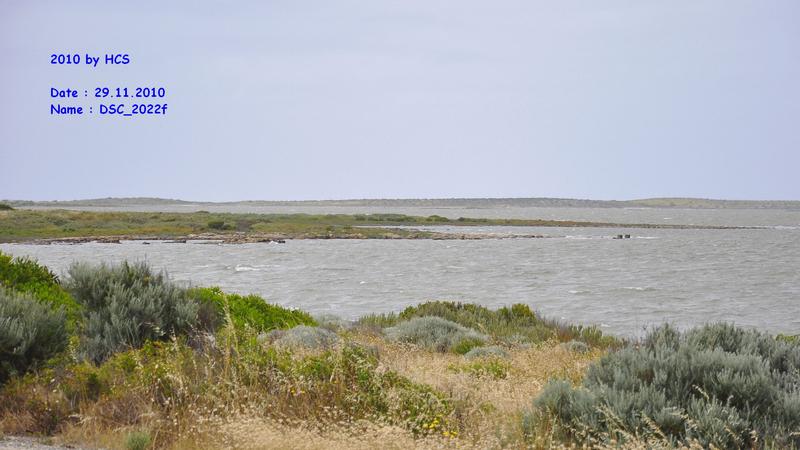 DSC_2022f