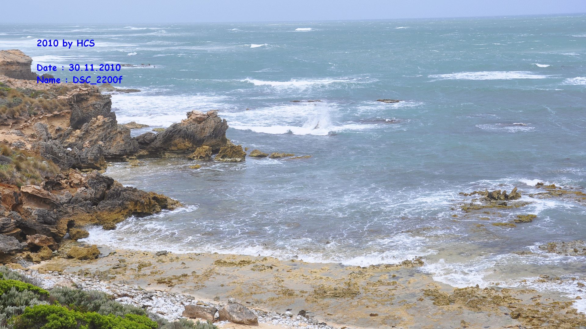 DSC_2200f