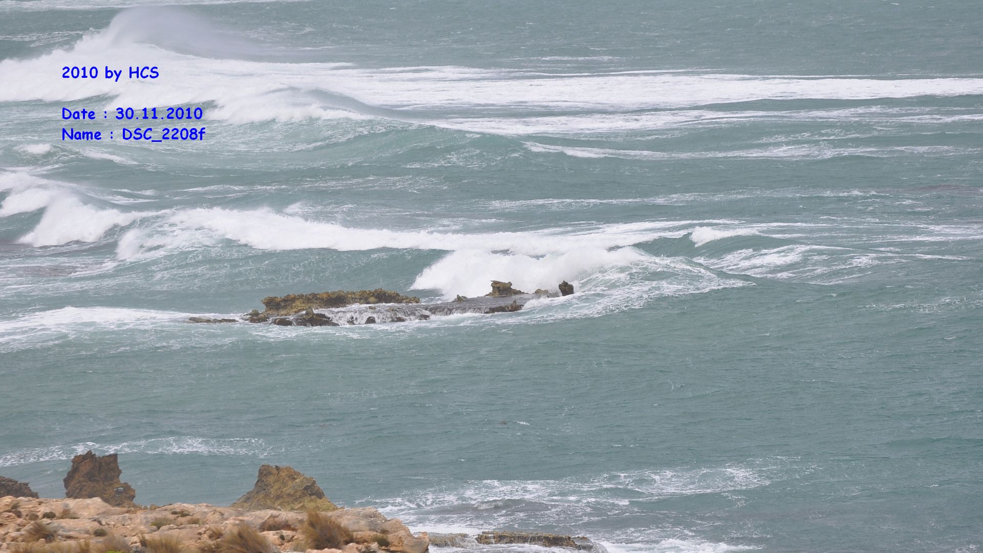 DSC_2208f
