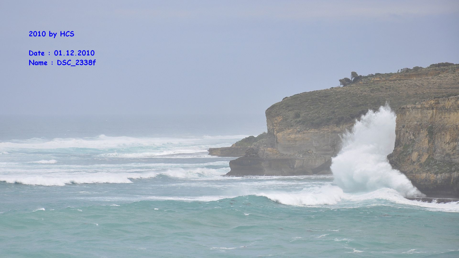 DSC_2338f