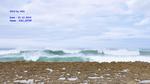 DSC_2379f DSC_2379f