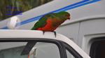 DSC_2560f DSC_2560f