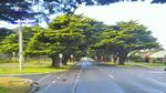 DSC_2668f DSC_2668f